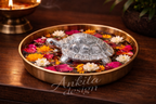 Vastu Tortoise Decorative item (Silver Finish)