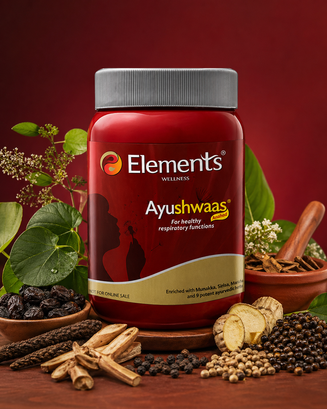 Elements Ayushwaas – Ayurvedic Respiratory Support