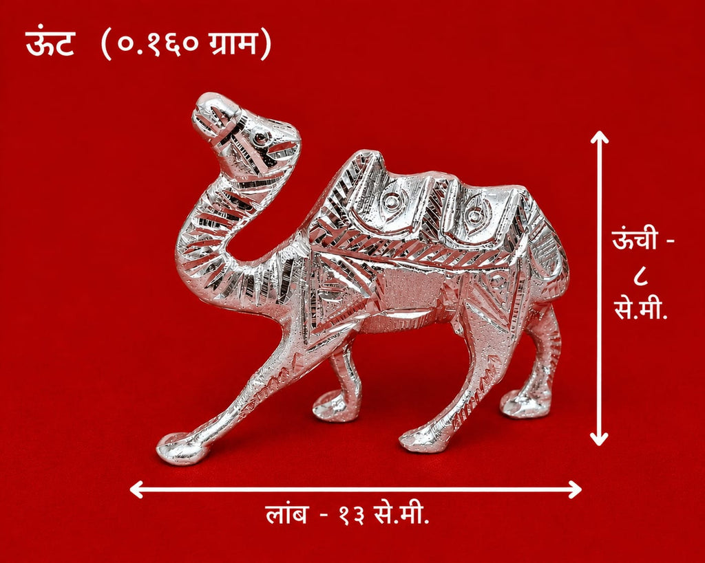 Royal Camel Figurine (Silver Finish Decorative Showpiece)